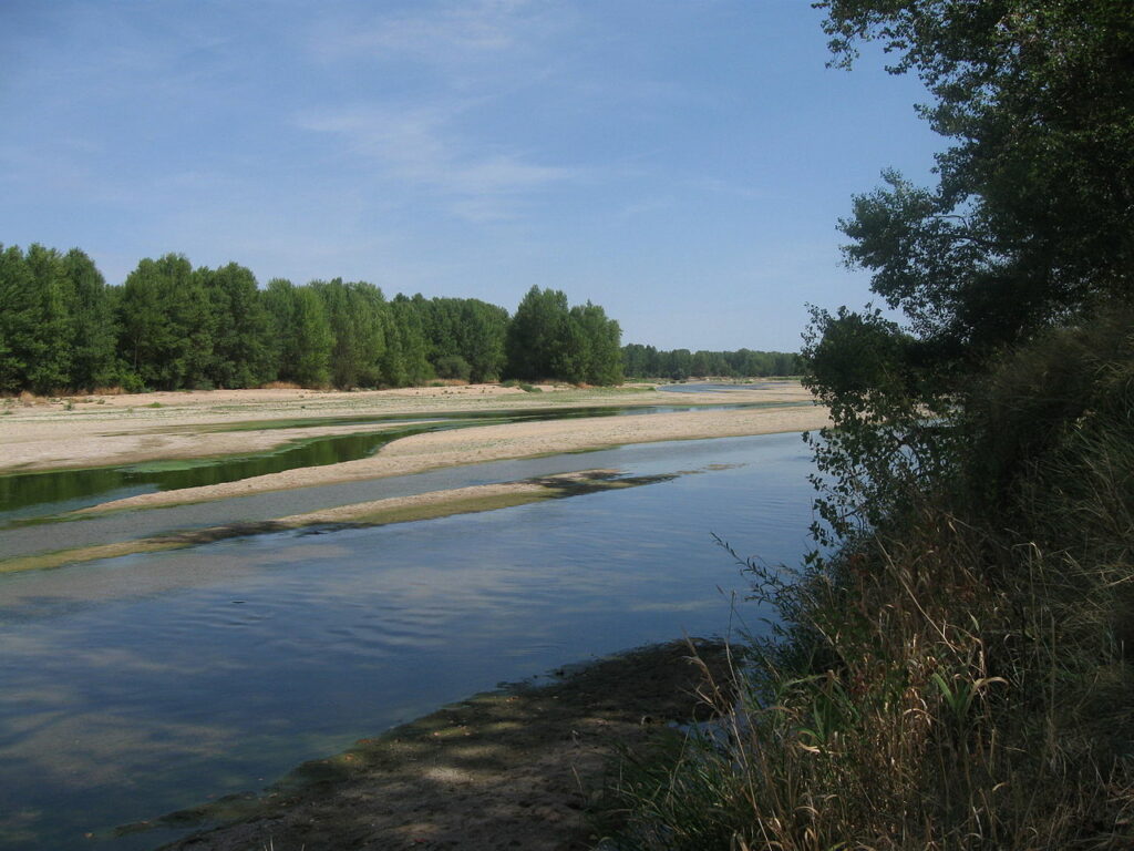 Bords de Loire à Montlouis - activité nettoyage de la nature ce week-end.