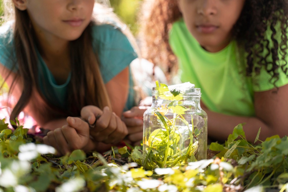 Premier week-end 2025 à Tours depuis la rentrée, entre ciné, expo et biodiversité !