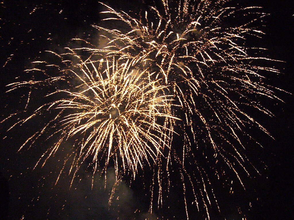 Image d'un feu d'artifice dans un ciel nocturne