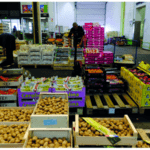Marché de gros de Tours : un grand marché pour nos petites assiettes !