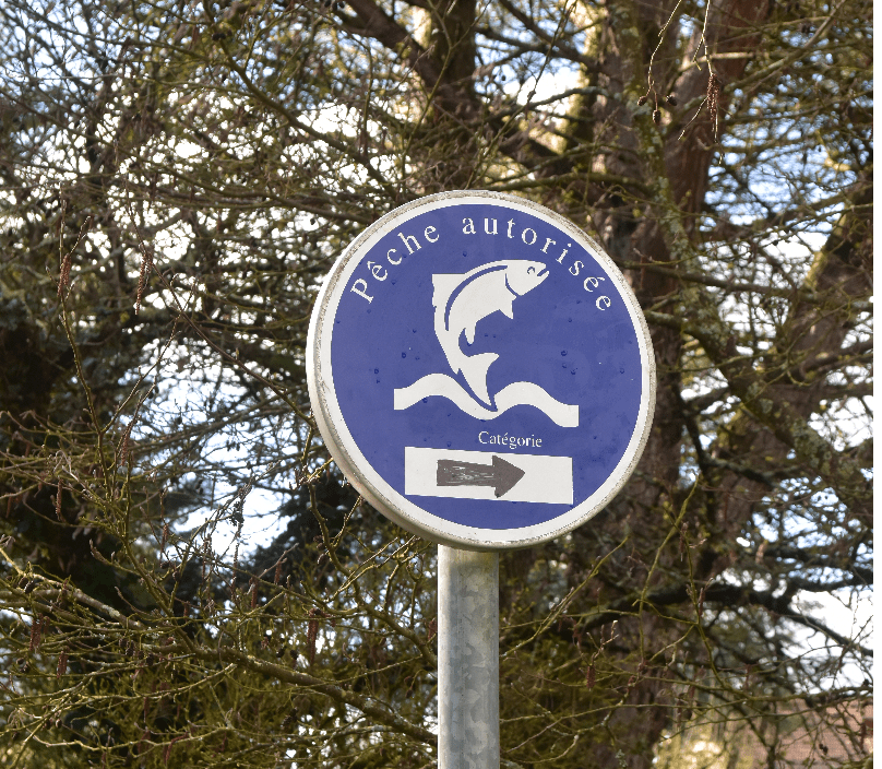 pêche en Touraine