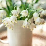 Travailler ou pas le 1er mai, un vrai débat !