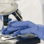 Tout savoir ou presque sur l&rsquo;hantavirus